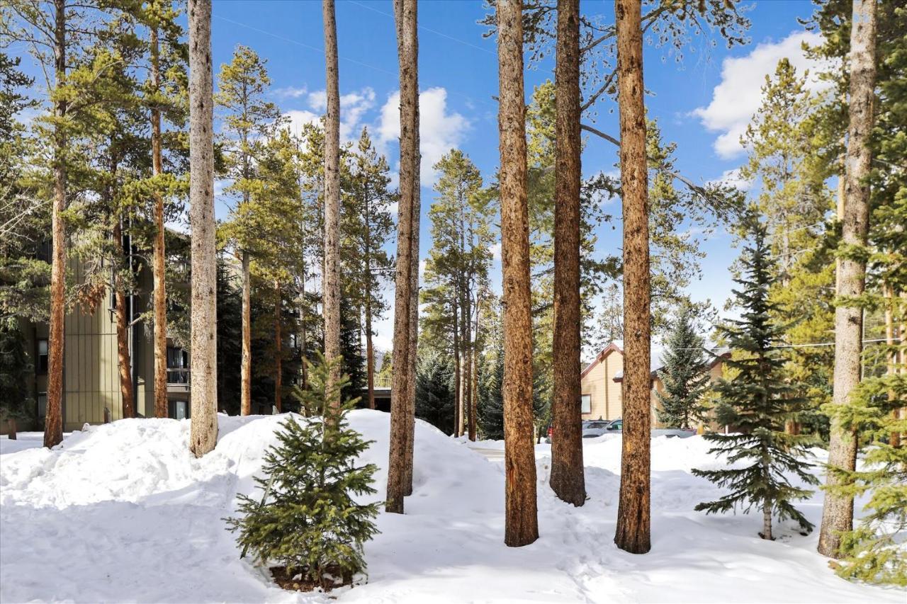 Park Forest Estates Breckenridge Luaran gambar